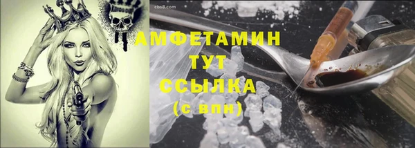 винт Абаза