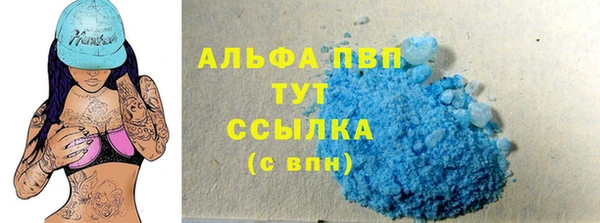 винт Абаза