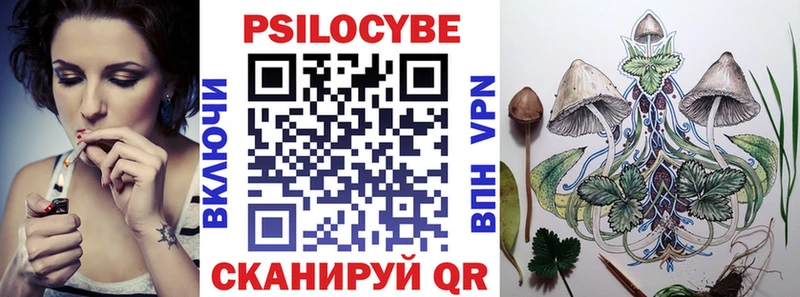 закладка  Ивантеевка  Псилоцибиновые грибы мухоморы 